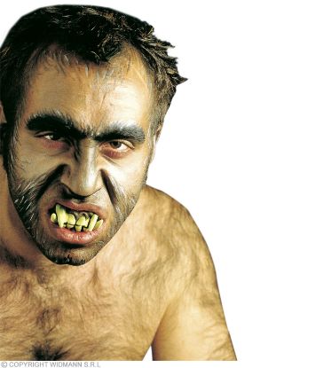 Billede af Falskar tenn sjórænari