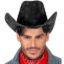 Billede af Cowboy Hattur Svartur