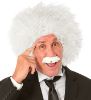 Billede af Einstein parúkkur og yvirskegg