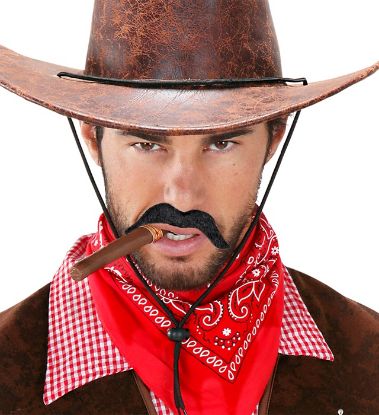 Billede af Cowboy skegg sett við 6 stk