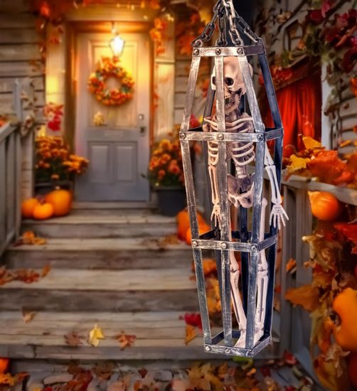 Billede af Beinagrind í Búri 50cm