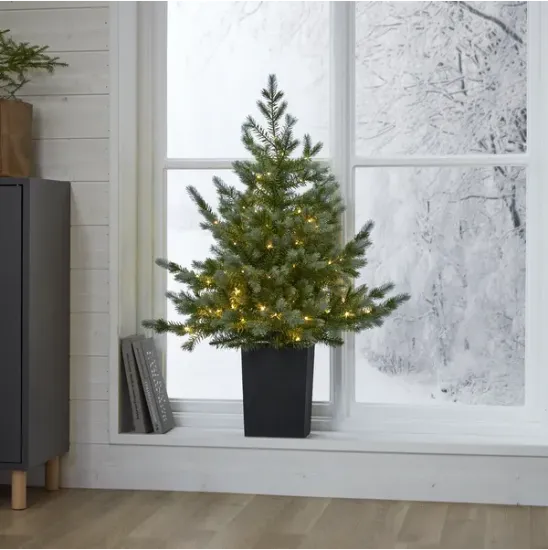 Billede af Jólatræ í potti v./perum, Greyland, 95 cm