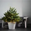 Billede af Jólatræ v./perum á spjóti, Busk, 75cm
