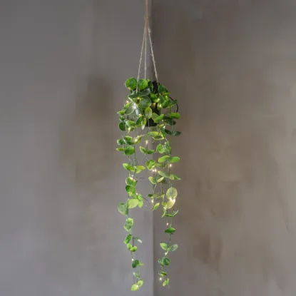 Billede af LED Heingiplanta v./perum, LAOS, 10x60cm