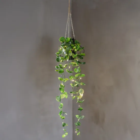 Billede af LED Heingiplanta v./perum, LAOS, 10x60cm
