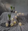Billede af Ljósketa v./10 glaskúlum v./ljósið, Glitter, 1,3mt